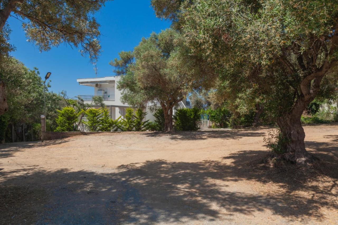 Althea By Rentalspro Services - Halkidiki Apartment